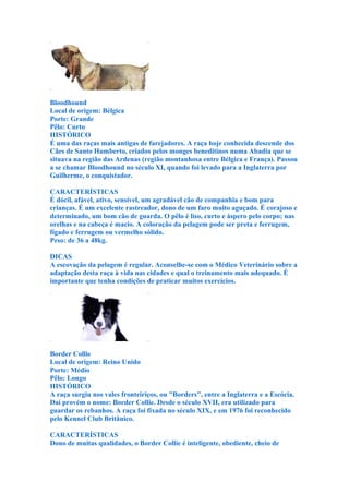 Bloodhound
Local de origem: Bélgica
Porte: Grande
Pêlo: Curto
HISTÓRICO
É uma das raças mais antigas de farejadores. A raça hoje conhecida descende dos
Cães de Santo Humberto, criados pelos monges beneditinos numa Abadia que se
situava na região das Ardenas (região montanhosa entre Bélgica e França). Passou
a se chamar Bloodhound no século XI, quando foi levado para a Inglaterra por
Guilherme, o conquistador.

CARACTERÍSTICAS
É dócil, afável, ativo, sensível, um agradável cão de companhia e bom para
crianças. É um excelente rastreador, dono de um faro muito aguçado. É corajoso e
determinado, um bom cão de guarda. O pêlo é liso, curto e áspero pelo corpo; nas
orelhas e na cabeça é macio. A coloração da pelagem pode ser preta e ferrugem,
fígado e ferrugem ou vermelho sólido.
Peso: de 36 a 48kg.

DICAS
A escovação da pelagem é regular. Aconselhe-se com o Médico Veterinário sobre a
adaptação desta raça à vida nas cidades e qual o treinamento mais adequado. É
importante que tenha condições de praticar muitos exercícios.




Border Collie
Local de origem: Reino Unido
Porte: Médio
Pêlo: Longo
HISTÓRICO
A raça surgiu nos vales fronteiriços, ou "Borders", entre a Inglaterra e a Escócia.
Daí provém o nome: Border Collie. Desde o século XVII, era utilizado para
guardar os rebanhos. A raça foi fixada no século XIX, e em 1976 foi reconhecido
pelo Kennel Club Britânico.

CARACTERÍSTICAS
Dono de muitas qualidades, o Border Collie é inteligente, obediente, cheio de
 