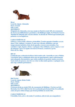 Boxer
Local de origem: Alemanha
Porte: Grande
Pêlo: Curto
HISTÓRICO
Originário da Alemanha, esta raça surgiu no final do século XIX, do cruzamento
do cão de caça Büllenbeisser germânico e do Bulldogue inglês. Na Primeira Guerra
Mundial foi utilizado pelo exército alemão. Na década de 1930 foi apresentado pela
primeira vez na Inglaterra.

CARACTERÍSTICAS
O Boxer é extrovertido, afetuoso e brincalhão. É muito apegado à família e ao seu
dono. É fiel, vigilante e corajoso. É uma raça vibrante, dinâmica, com um
temperamento autêntico, bom cão de guarda e receoso com estranhos. Seu
caminhar é ágil, elegante e firme. A pelagem é lisa, brilhante, curta e áspera. A cor
da pelagem é ruiva ou rajada com marcas brancas, a máscara é preta.
Peso: de 25 a 30kg.

DICAS
É indicado que a educação do Boxer inicie muito cedo. Aconselhe-se com o Médico
Veterinário sobre a adaptação desta raça em apartamento e qual o adestramento
mais adequado. Recomenda-se que tenha condições de praticar muitos exercícios.
Gosta muito de passear, mas deve-se evitar os dias muito quentes. A pelagem curta
não exige cuidados particulares.




Bull Terrier
Local de origem: Reino Unido
Porte: Médio
Pêlo: Curto
HISTÓRICO
Foi desenvolvido no século XIX, do cruzamento de Bulldogs e Terriers na Grã-
Bretanha. Em 1933 o Bull Terrier foi reconhecido pelo Kennel Club. Era utilizado
como cão para rinhas (briga), que foram proibidas no século XIX.

CARACTERÍSTICAS
É decidido, forte, ativo e devotado. É carinhoso, afável, leal, um companheiro
 