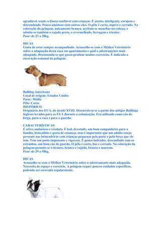 agradável, sendo a fêmea confiável com crianças. É atento, inteligente, corajoso e
determinado. Pouco amistoso com outros cães. O pêlo é curto, áspero e cerrado. Na
coloração da pelagem, unicamente branca, aceitam-se manchas na cabeça, e
admite-se também o rajado preto, o avermelhado, ferrugem e tricolor.
Peso: de 23 a 28kg.

DICAS
Gosta de estar sempre acompanhado. Aconselhe-se com o Médico Veterinário
sobre a adaptação desta raça em apartamento e qual o adestramento mais
adequado. Recomenda-se que possa praticar muitos exercícios. É indicada a
escovação semanal da pelagem.




Bulldog Americano
Local de origem: Estados Unidos
Porte: Médio
Pêlo: Curto
HISTÓRICO
Originário dos EUA, do século XVIII. Desenvolveu-se a partir dos antigos Bulldogs
ingleses levados para os EUA durante a colonização. Era utilizado como cão de
briga, para a caça e para a guarda.

CARACTERÍSTICAS
É ativo, audacioso e resoluto. É leal, devotado, um bom companheiro para a
família, brincalhão e gosta de crianças, mas é importante que um adulto esteja
presente nas brincadeiras com crianças pequenas pelo porte e pela força que ele
tem. Tem um porte imponente e vigoroso. É pouco ladrador, desconfiado com os
estranhos, um bom cão de guarda. O pêlo é curto, liso e cerrado. Na coloração da
pelagem permite-se o branco, branco e rajado, branco e marrom.
Peso: de 29 a 58kg.

DICAS
Aconselhe-se com o Médico Veterinário sobre o adestramento mais adequado.
Necessita de espaço e exercício. A pelagem requer poucos cuidados específicos,
podendo ser escovada regularmente.
 