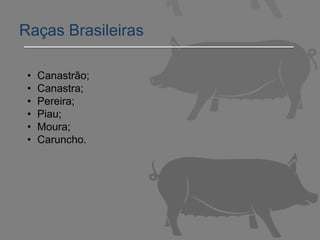 Raças Brasileiras
• Canastrão;
• Canastra;
• Pereira;
• Piau;
• Moura;
• Caruncho.
 
