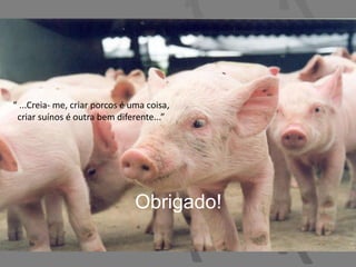 Obrigado!
“ ...Creia- me, criar porcos é uma coisa,
criar suínos é outra bem diferente...”
 