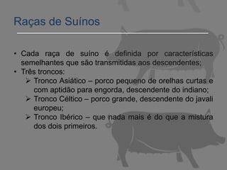 • Cada raça de suíno é definida por características
semelhantes que são transmitidas aos descendentes;
• Três troncos:
 Tronco Asiático – porco pequeno de orelhas curtas e
com aptidão para engorda, descendente do indiano;
 Tronco Céltico – porco grande, descendente do javali
europeu;
 Tronco Ibérico – que nada mais é do que a mistura
dos dois primeiros.
Raças de Suínos
 