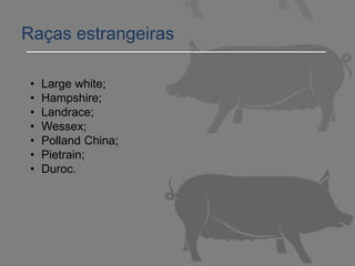 • Large white;
• Hampshire;
• Landrace;
• Wessex;
• Polland China;
• Pietrain;
• Duroc.
Raças estrangeiras
 