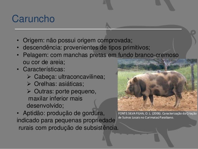 Featured image of post Porco Nilo Caracter sticas Boutique del cerdo en avenida ballofet 1500 esquina inalican san rafael y avenida