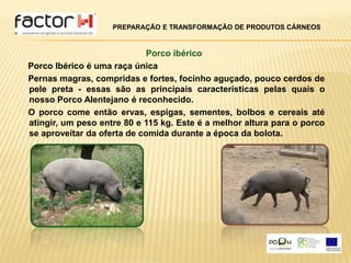 PREPARAÇÃO E TRANSFORMAÇÃO DE PRODUTOS CÁRNEOSPorco ibéricoPorco Ibérico é uma raça única     Pernas magras, compridas e fortes, focinho aguçado, pouco cerdos de  pele preta - essas são as principais características pelas quais o nosso Porco Alentejano é reconhecido.      O porco come então ervas, espigas, sementes, bolbos e cereais até atingir, um peso entre 80 e 115 kg. Este é a melhor altura para o porco se aproveitar da oferta de comida durante a época da bolota.