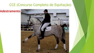 CCE (Concurso Completo de Equitação) 
Adestramento 
 