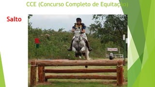 CCE (Concurso Completo de Equitação) 
Salto 
 