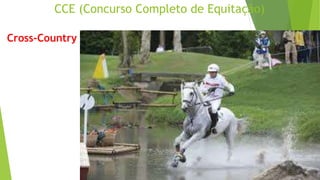 CCE (Concurso Completo de Equitação) 
Cross-Country 
 