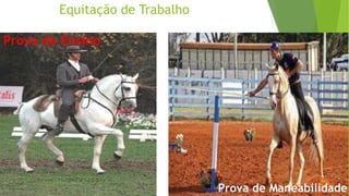 Equitação de Trabalho 
Prova de Ensino 
Prova de Maneabilidade 
 