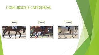 CONCURSOS E CATEGORIAS 
Passo Trote Galope 
 