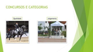 CONCURSOS E CATEGORIAS 
Qualidade Julgamento 
 