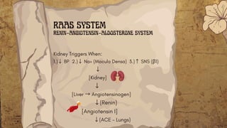 RAAS MECHANISM EXPLAINED IN EASY WAY.pdf