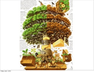 Friday, June 1, 2012
 