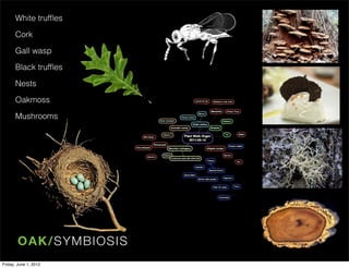 White trufﬂes

      Cork

      Gall wasp

      Black trufﬂes

      Nests

      Oakmoss

      Mushrooms




        O A K/SYMBI O SIS
Friday, June 1, 2012
 