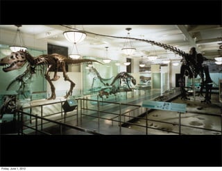 7


Friday, June 1, 2012
 