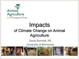 Impacts
of Climate Change on Animal
Agriculture
David Schmidt, PE
University of Minnesota
 
