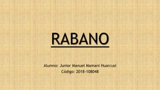 RABANO
Alumno: Junior Manuel Mamani Huarcusi
Código: 2018-108048
 