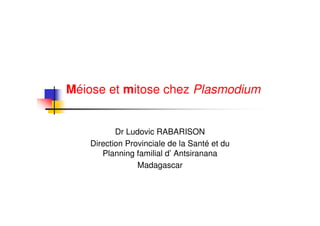Méiose et mitose chez Plasmodium


          Dr Ludovic RABARISON
   Direction Provinciale de la Santé et du
      Planning familial d’ Antsiranana
                Madagascar
 