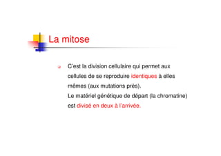La mitose

    C’est la division cellulaire qui permet aux
    cellules de se reproduire identiques à elles
    mêmes (aux mutations près).
    Le matériel génétique de départ (la chromatine)
    est divisé en deux à l’arrivée.
 