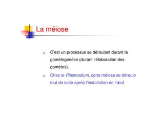 La méiose


   C’est un processus se déroulant durant la
   gamétogenèse (durant l’élaboration des
   gamètes).
   Chez le Plasmodium, cette méiose se déroule
   tout de suite après l’installation de l’œuf
 