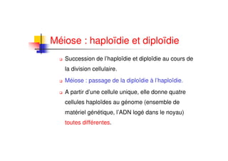 Méiose : haploïdie et diploïdie
   Succession de l’haploïdie et diploïdie au cours de
   la division cellulaire.
   Méiose : passage de la diploïdie à l’haploïdie.
   A partir d’une cellule unique, elle donne quatre
   cellules haploïdes au génome (ensemble de
   matériel génétique, l’ADN logé dans le noyau)
   toutes différentes.
 
