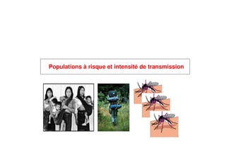 Populations à risque et intensité de transmission
 