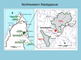 Northeastern Madagascar
 