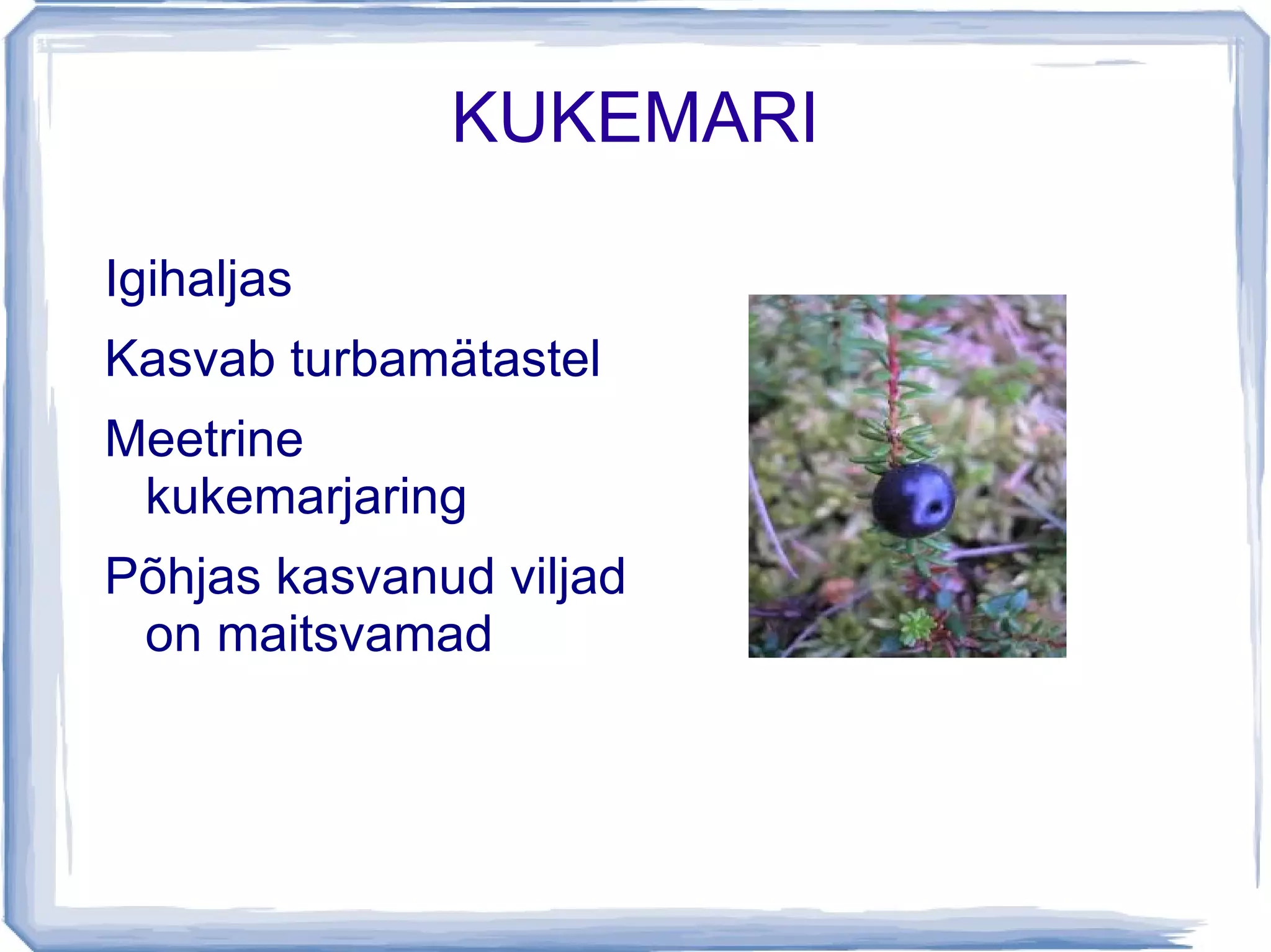 Kasvab, kus enamik puid kasvada ei suuda 