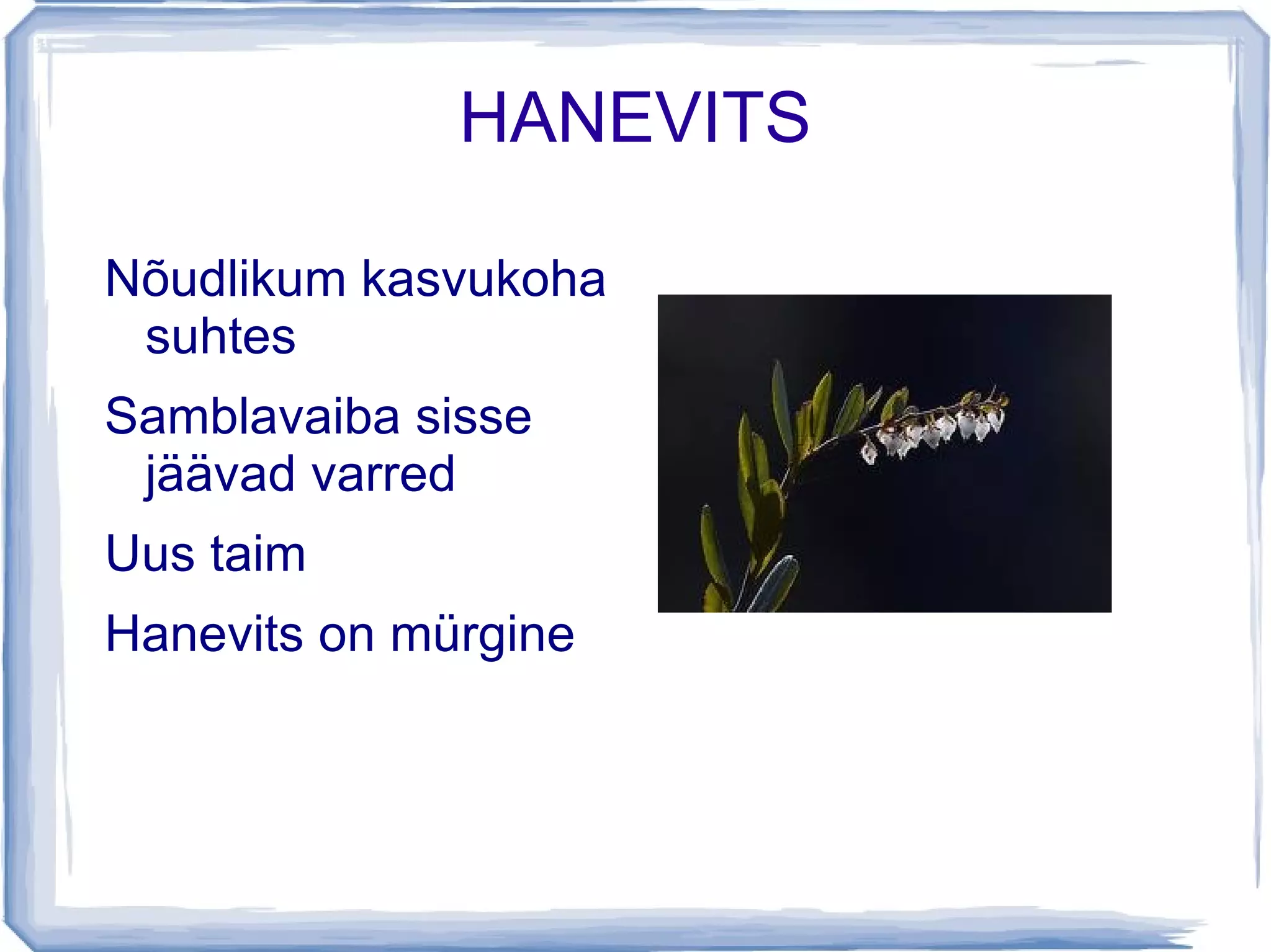 Juurestik ulatub sügavale 