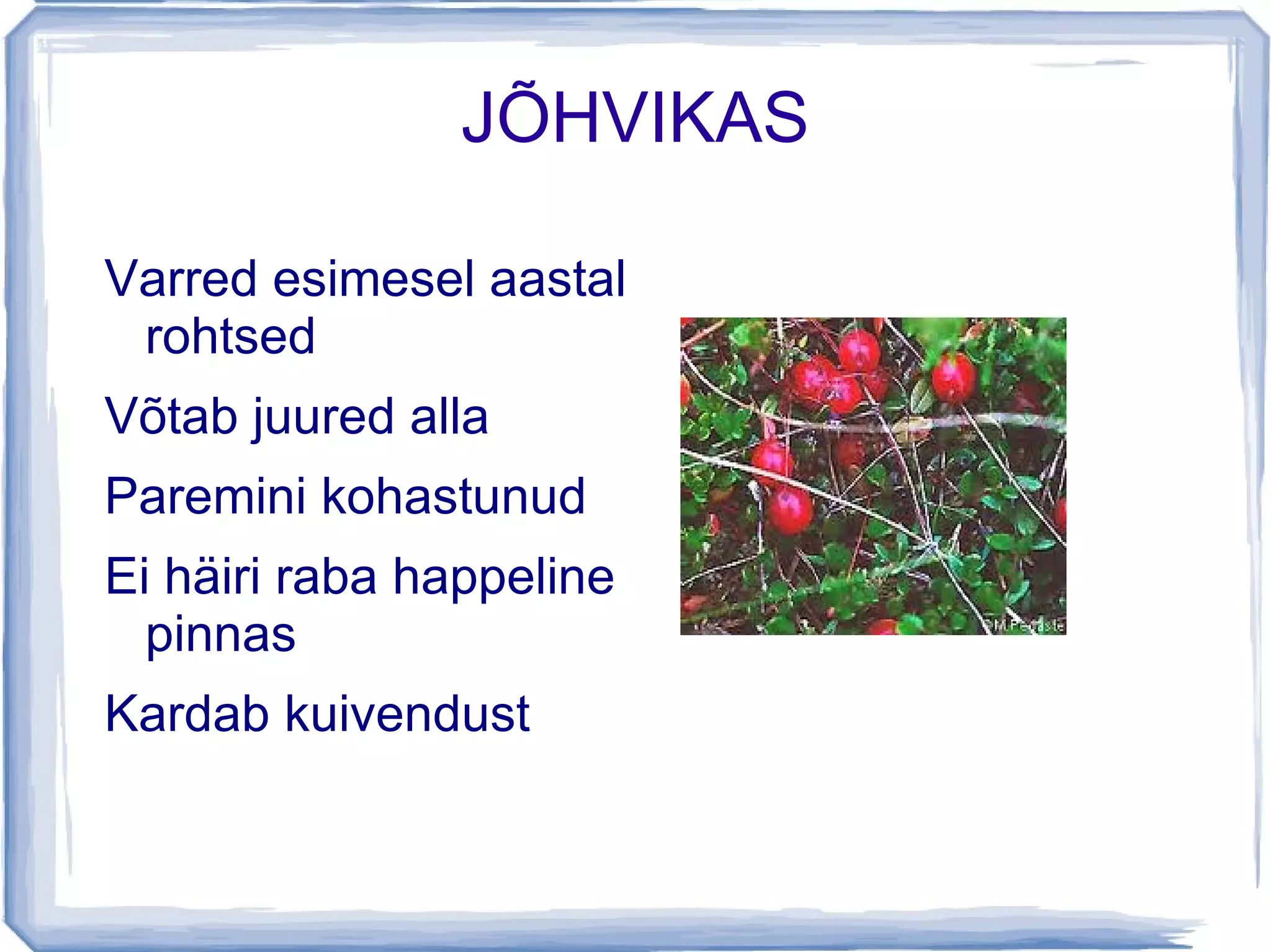 Käsivarre jämedune  