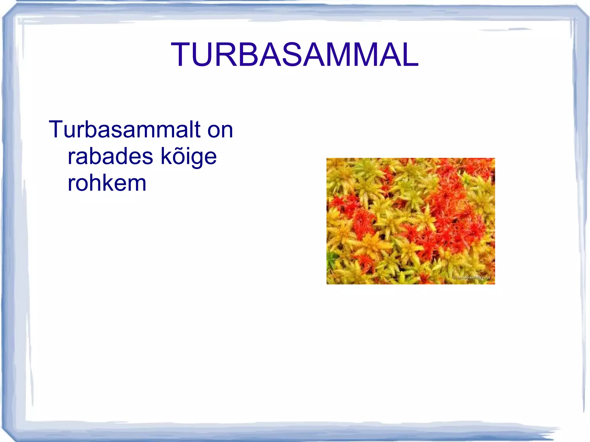 Puitu ei saa nii palju kasutada kui arukase puitu 