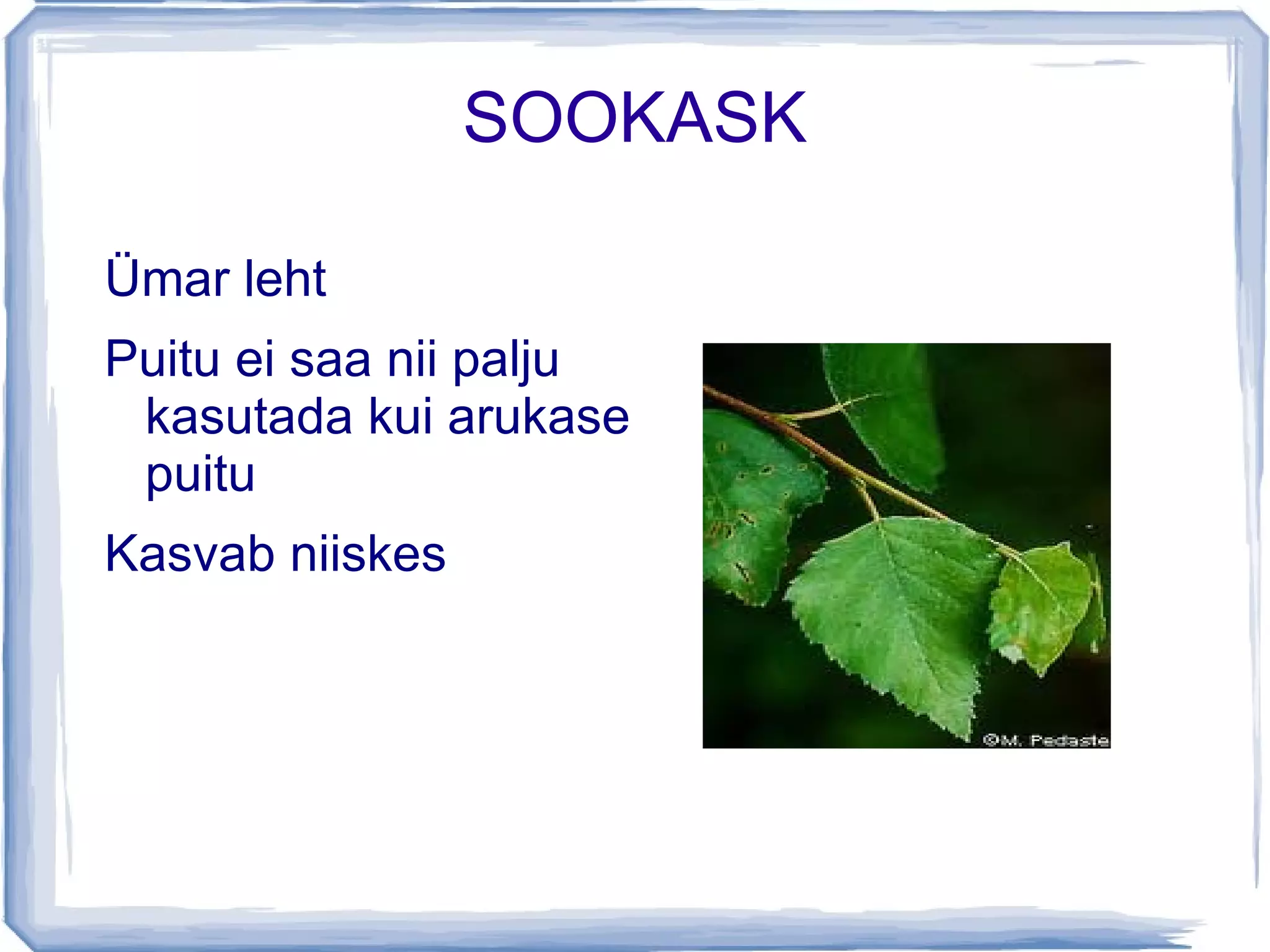 LAUGAS Pruuniveeline sooveekogu 