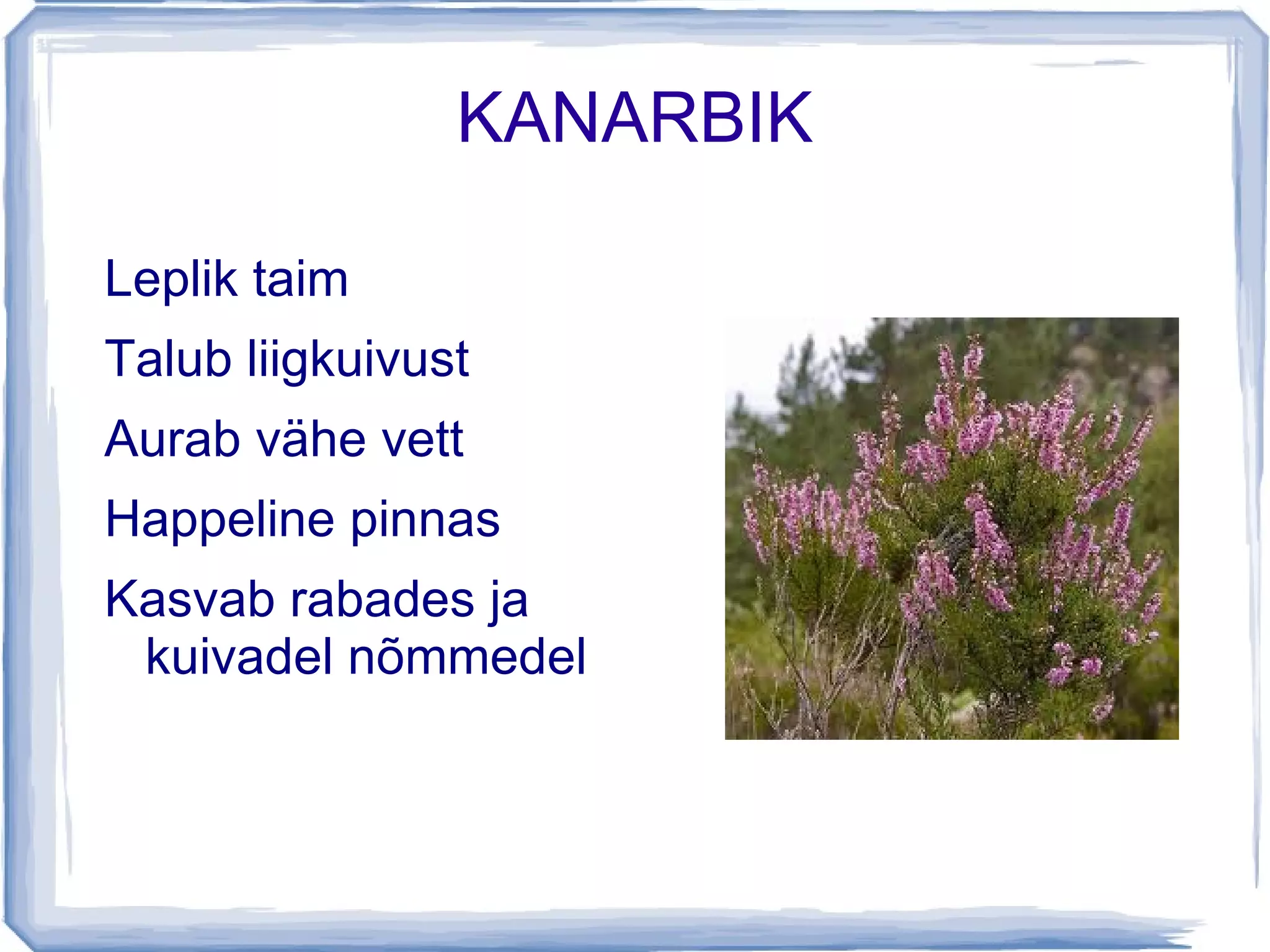 Laukad hakkavad kinni kasvama 