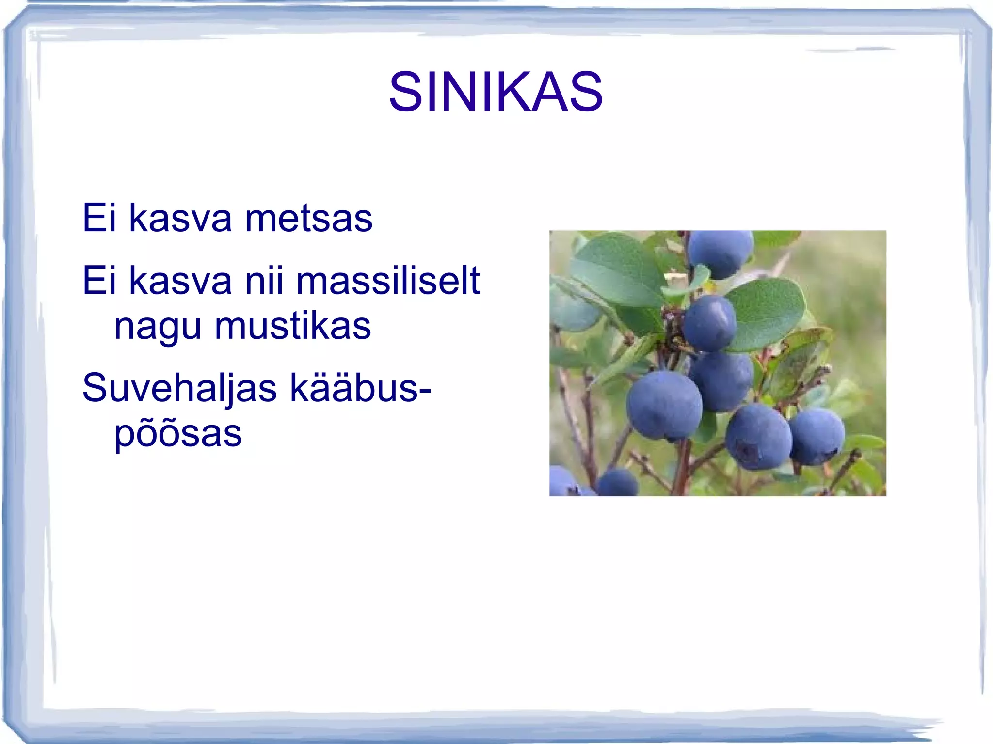 ÄLVED Nõgusam koht 