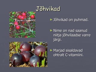 Jõhvikad   Jõhvikad on puhmad. Nime on nad saanud niitja jõhvilaadse varre järgi. Marjad sisaldavad ohtralt C-vitamiini. 