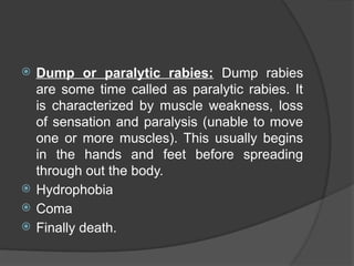 Dump Rabies Comprehensive Overview of Rabies: Symptoms, Transmission, and Treatment ...