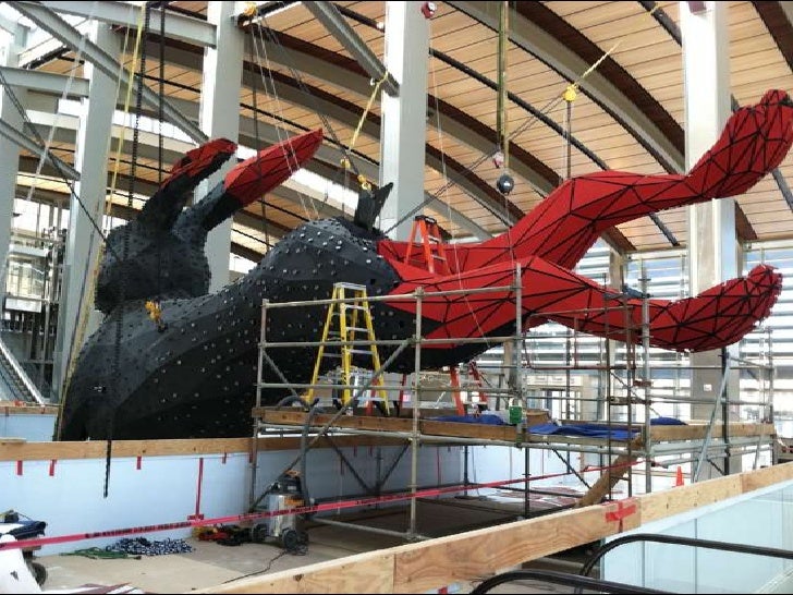 Sacramento Airport Rabbit