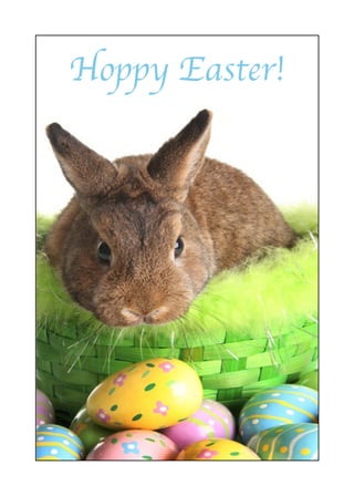 Hoppy Easter!
 