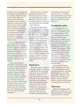 Rabbit Diseases & Parasites | PDF