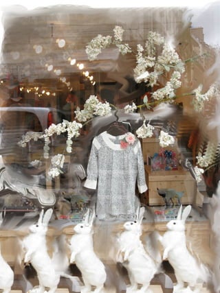 Rabbit Dressed For Paris