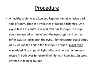 RABBIT EXPERIMENTS.pptx