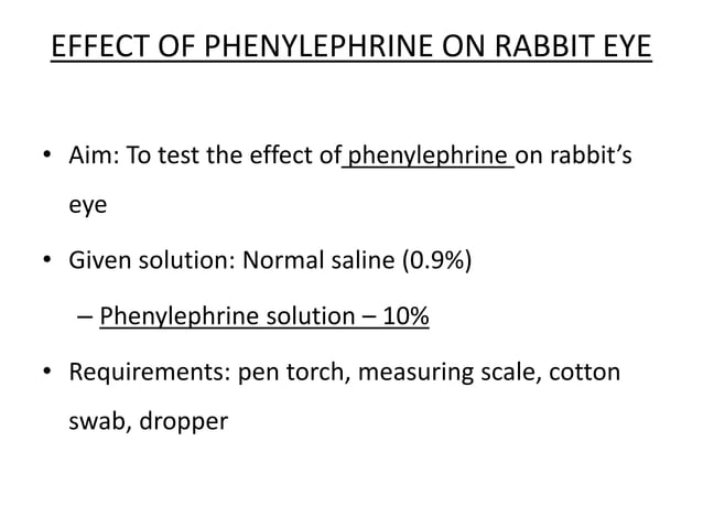 RABBIT EXPERIMENTS.pptx