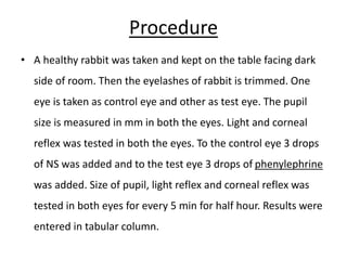 Rabbit Exam Notes Examples RABBIT EXPERIMENTS.pptx