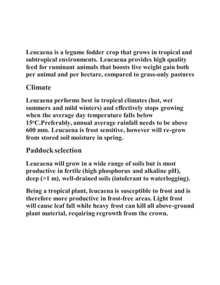Leucaena is a legume fodder crop that grows in tropical and
subtropical environments. Leucaena provides high quality
feed for ruminant animals that boosts live weight gain both
per animal and per hectare, compared to grass-only pastures
Climate
Leucaena performs best in tropical climates (hot, wet
summers and mild winters) and effectively stops growing
when the average day temperature falls below
15o
C.Preferably, annual average rainfall needs to be above
600 mm. Leucaena is frost sensitive, however will re-grow
from stored soil moisture in spring.
Paddockselection
Leucaena will grow in a wide range of soils but is most
productive in fertile (high phosphorus and alkaline pH),
deep (>1 m), well-drained soils (intolerant to waterlogging).
Being a tropical plant, leucaena is susceptible to frost and is
therefore more productive in frost-free areas. Light frost
will cause leaf fall while heavy frost can kill all above-ground
plant material, requiring regrowth from the crown.
 