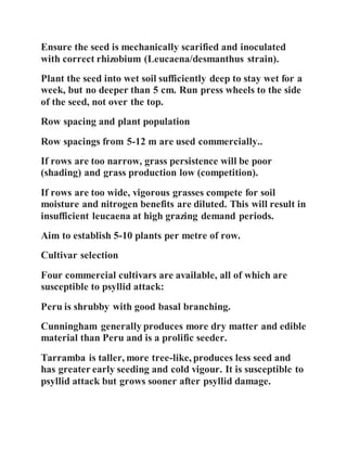 Ensure the seed is mechanically scarified and inoculated
with correct rhizobium (Leucaena/desmanthus strain).
Plant the seed into wet soil sufficiently deep to stay wet for a
week, but no deeper than 5 cm. Run press wheels to the side
of the seed, not over the top.
Row spacing and plant population
Row spacings from 5-12 m are used commercially..
If rows are too narrow, grass persistence will be poor
(shading) and grass production low (competition).
If rows are too wide, vigorous grasses compete for soil
moisture and nitrogen benefits are diluted. This will result in
insufficient leucaena at high grazing demand periods.
Aim to establish 5-10 plants per metre of row.
Cultivar selection
Four commercial cultivars are available, all of which are
susceptible to psyllid attack:
Peru is shrubby with good basal branching.
Cunningham generally produces more dry matter and edible
material than Peru and is a prolific seeder.
Tarramba is taller, more tree-like, produces less seed and
has greater early seeding and cold vigour. It is susceptible to
psyllid attack but grows sooner after psyllid damage.
 
