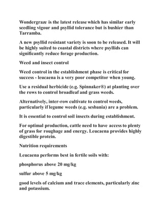 Wondergraze is the latest release which has similar early
seedling vigour and psyllid tolerance but is bushier than
Tarramba.
A new psyllid resistant variety is soon to be released. It will
be highly suited to coastal districts where psyllids can
significantly reduce forage production.
Weed and insect control
Weed control in the establishment phase is critical for
success - leucaena is a very poor competitor when young.
Use a residual herbicide (e.g. Spinnaker®) at planting over
the rows to control broadleaf and grass weeds.
Alternatively, inter-row cultivate to control weeds,
particularly if legume weeds (e.g. sesbania) are a problem.
It is essential to control soil insects during establishment.
For optimal production, cattle need to have access to plenty
of grass for roughage and energy. Leucaena provides highly
digestible protein.
Nutrition requirements
Leucaena performs best in fertile soils with:
phosphorus above 20 mg/kg
sulfur above 5 mg/kg
good levels of calcium and trace elements, particularly zinc
and potassium.
 
