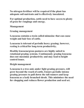 No nitrogen fertiliser will be required if the plant has
adequate soil nutrients and is effectively inoculated.
For optimal production, cattle need to have access to plenty
of grass for roughage and energy.
Management
Grazing management
Leucaena contains a toxin called mimosine that can cause
weight and hair loss of cattle.
Leucaena is tolerant of periodic heavy grazing; however,
resting is critical for long-term productivity.
Healthy leucaena/grass pastures are highly suited to
rotational grazing systems. Continuously grazing leucaena
does not maximize productivity and may lead to height
control issues.
Height management
Leucaena is a tree and, under light grazing pressure, will
grow beyond the reach of cattle. Ensure periodic intense
grazing pressure to pull down the tall runners and keep
leucaena as a leafy branched shrub. This minimises the need
for chopping and reduces flower production and seed set.
 