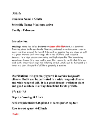 Alfalfa
Common Name : Alfalfa
Scientific Name: Medicago sativa
Family : Fabaceae
Introduction
Medicago sativa also called Lucerne or queen of fodder crop, is a perennial
flowering plant in the pea family fabaceae cultivated as an important crop in
many countries around the world. It is used for grazing hay and silage as well
as a green manure and cover crop. The name alfalfa is used in North
America. It is high protein containing and high digestible fiber containing
leguminous forage. It is most widely used fiber source in rabbit diet. It is also
used as the major food crops for milching animal. Alfalfa can be harvested 3-4
times in a year. The yield of alfalfa is generally 8 tons/ha.
Distribution: It is generally grown in warmer temperate
climate. But it can be cultivated in a wide range of climate
and wide range of soil. It is a good drought resistant plant
and good sunshine is always beneficial for its growth.
PH
: 6.8 -7.5
Depth of sowing: 0.5 inch
Seed requirement: 0.25 pound of seeds per 25 sq. feet
Row to row space: 6-12 inch
Note:
 