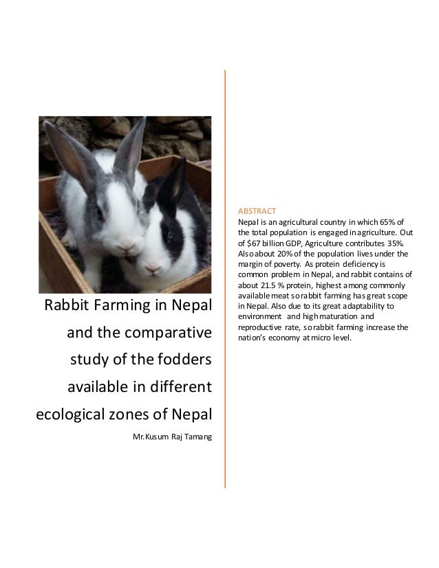 Rabbit Farming In Nepal