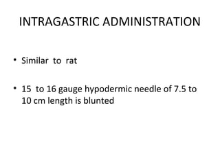 INTRAGASTRIC ADMINISTRATION
• Similar to rat
• 15 to 16 gauge hypodermic needle of 7.5 to
10 cm length is blunted
 